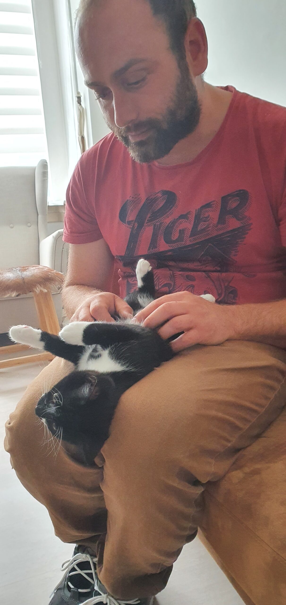 kattenoppas Den Haag – liefdevolle zorg voor katten
