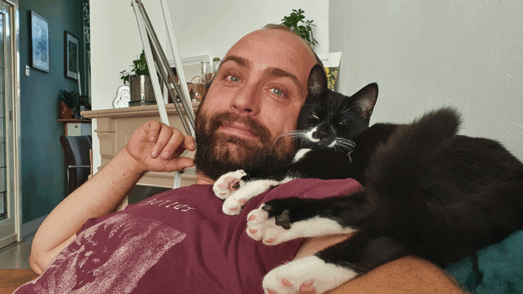 kattenoppas Den Haag – liefdevolle zorg voor katten
